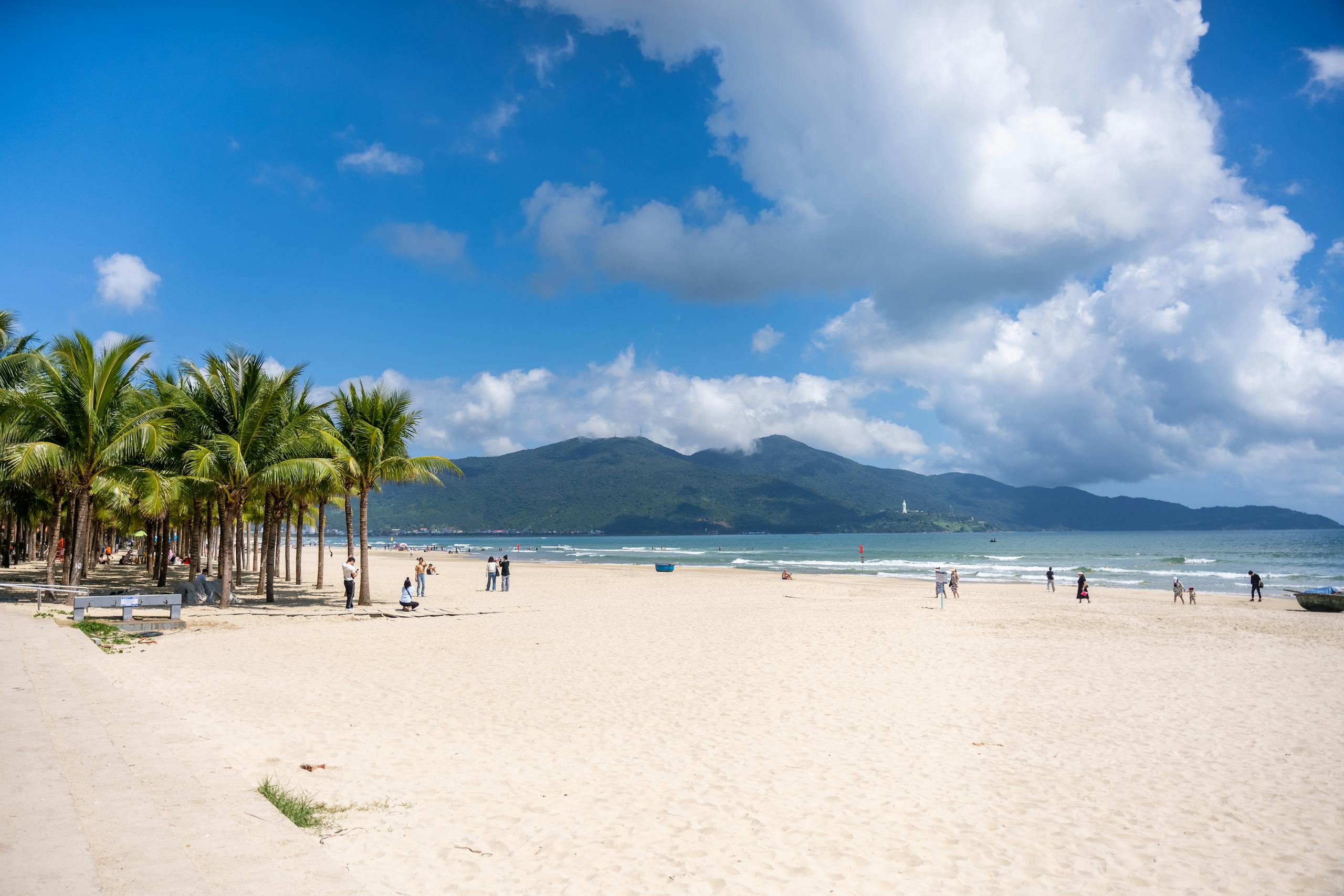 A scenic view of a sunny tropical beach with palm trees and distant mountains under a blue sky with clouds.